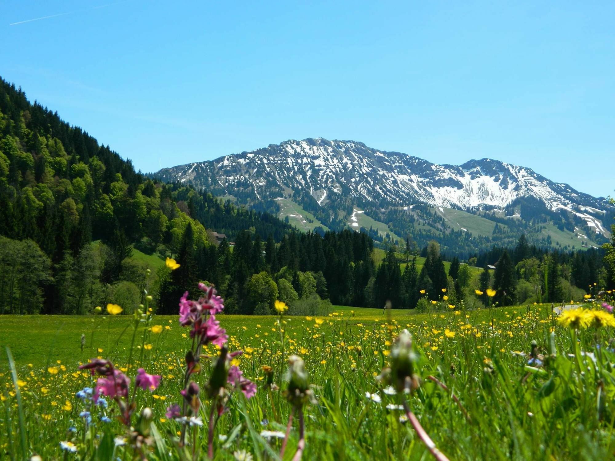 Berg- Und Aktivhotel Edelsberg Gmbh Bad Hindelang Kültér fotó